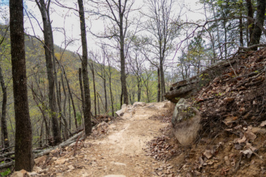 A narrow dirt hiking trail winding through a forest with bare trees and scattered rocks. The pathway is flanked by earthy brown soil and fallen leaves, leading up a slight incline towards distant hills under a cloudy sky. Southern Traverse mountain bike trail.