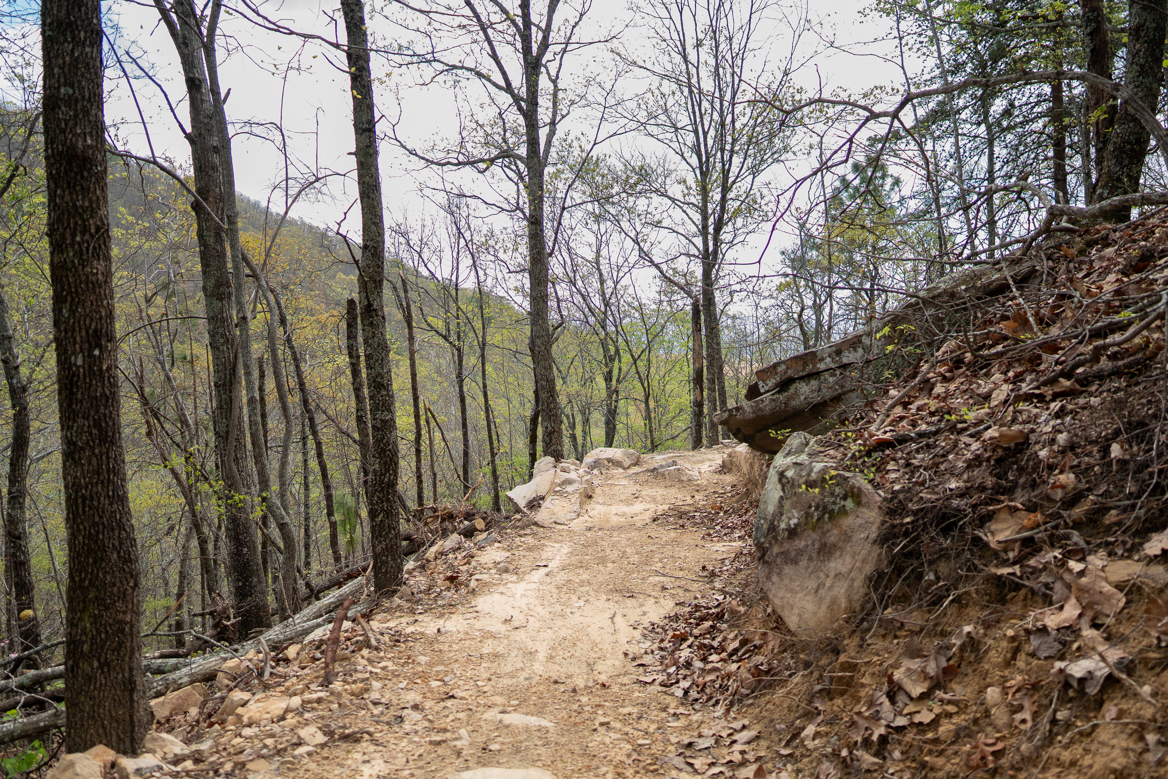 A narrow dirt hiking trail winding through a forest with bare trees and scattered rocks. The pathway is flanked by earthy brown soil and fallen leaves, leading up a slight incline towards distant hills under a cloudy sky. Southern Traverse mountain bike trail.