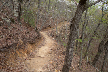 A winding dirt trail surrounded by trees and rocky terrain, with newly sprouted leaves and scattered fallen leaves on the ground. The sky is partly cloudy, creating a serene and natural atmosphere.