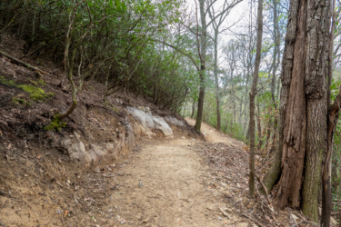 A winding dirt path through a wooded area, bordered by trees and rocky outcrops, with patches of moss and fallen leaves along the trail. The scene is set in a natural environment, showcasing the tranquility of a forest setting.