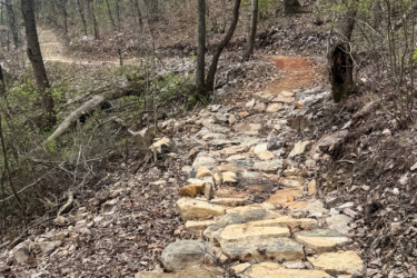 A narrow, rocky trail winding through a wooded area with trees on either side and scattered leaves on the ground. The path is lined with large stones, and a section of the trail is visible leading into the distance.