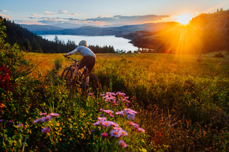 A person riding a mountain bike through a vibrant field of wildflowers at sunset, with a serene lake and hills in the background. The scene is illuminated by warm, golden sunlight peeking over the horizon.