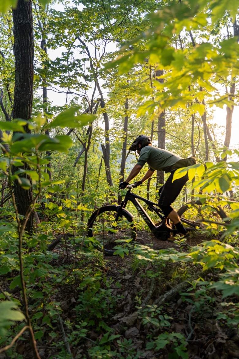 A cyclist riding a mountain bike through a lush, green forest. Sunlight filters through the trees, illuminating the foliage around the rider, who is focused on navigating the trail.