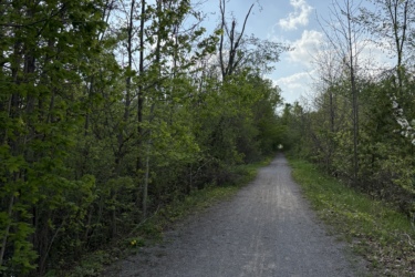 A peaceful gravel path lined with greenery, leading into a bright sky dotted with clouds. The surrounding trees are lush and partially leafed, indicating a spring or summer setting. The Great Trail: Uxbridge mountain bike trail.