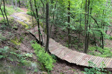 A wooden boardwalk winding through a dense forest of trees, with lush green foliage and a rocky terrain on either side. The path curves gently, providing a scenic view of the natural surroundings. Red Lick mountain bike trail.