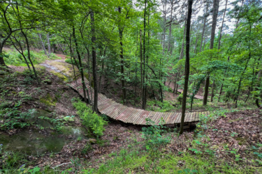 A winding wooden bridge crosses a small ravine in a lush green forest, surrounded by tall trees and a carpet of leaves and ferns. The scene conveys a tranquil and natural setting, inviting exploration of the wooded area. Red Lick mountain bike trail.