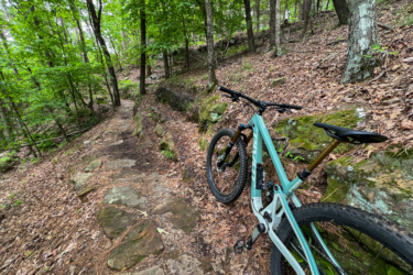 A mountain bike is resting beside a rocky, winding trail surrounded by dense green forest. The path is covered with leaves and lined by trees, creating a serene natural setting. Red Lick mountain bike trail.