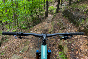 A first-person view of mountain bike handlebars, set against a lush, green forest trail. The path is lined with leaves and rocks, surrounded by trees and foliage, suggesting an adventurous outdoor setting. Red Lick Trails mountain bike trail.