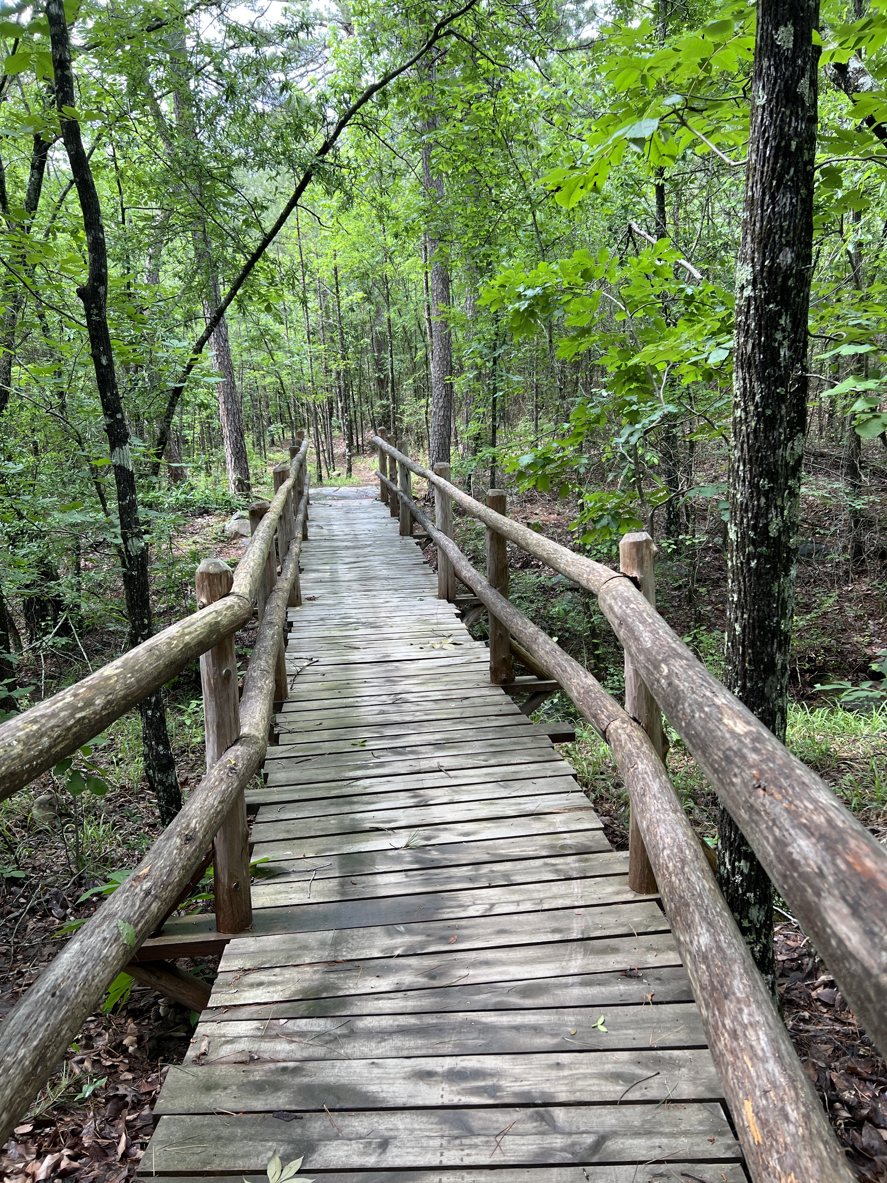 A wooden bridge winding through a lush green forest, surrounded by tall trees and foliage, with a clear path leading into the distance. Rattlesnake Ridge mountain bike trail.
