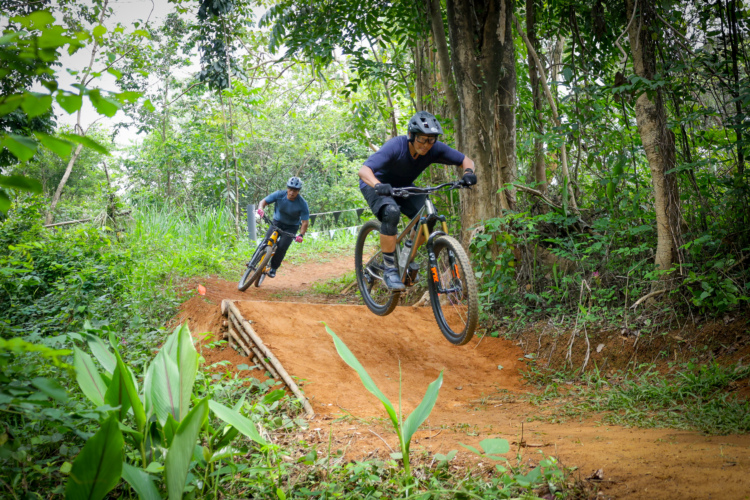 Two mountain bikers riding on a dirt trail through a lush green forest. One rider is jumping off a small ramp, while the other is closely following behind. The scene captures the thrill of mountain biking in a natural setting, surrounded by trees and foliage.