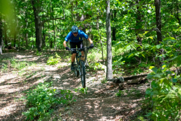 A mountain biker in a blue shirt and helmet navigates a winding trail through a lush green forest. Sunlight filters through the tree canopy, illuminating the path covered in leaves and dirt. WOKA Whitewater Park mountain bike trail.