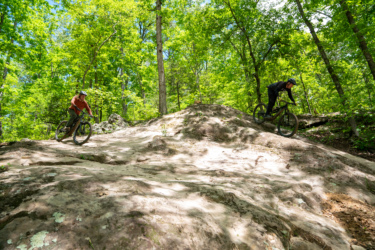 Two mountain bikers navigate a rocky trail in a lush green forest. The sun shines through the trees, highlighting the riders as they maneuver over a natural terrain marked by smooth, exposed rock and gentle slopes. One biker wears an orange shirt and is leaning into a turn, while the other, dressed in black, is positioned slightly downhill, focusing on the path ahead. Horseshoe Canyon Ranch mountain bike trail.