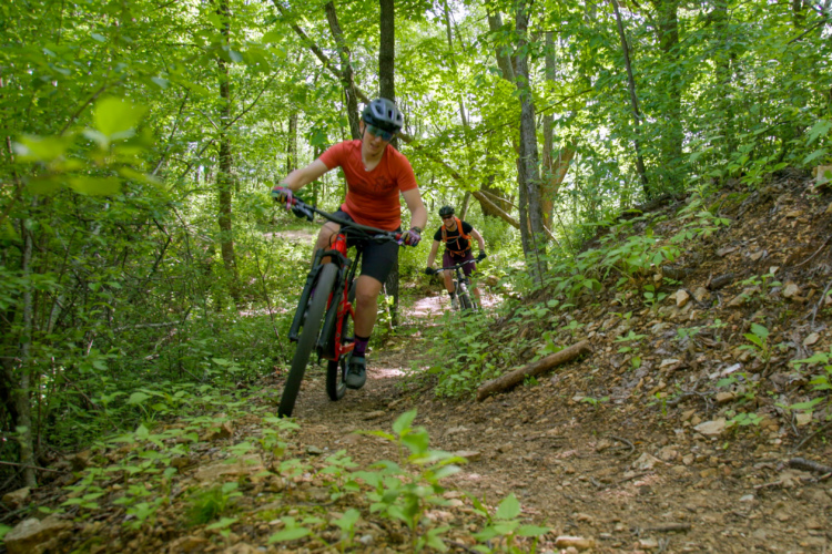 Two mountain bikers navigate a dirt trail surrounded by lush green foliage in a forested area. One rider, wearing a red shirt and helmet, is in the foreground, leaning forward as they ride, while another rider in a black shirt and orange backpack follows closely behind. Sunlight filters through the trees, creating a vibrant outdoor scene.