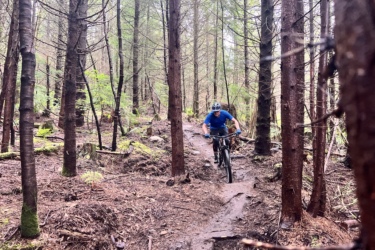 A mountain biker rides along a narrow, muddy trail surrounded by tall trees in a forest. The biker is wearing a blue shirt and helmet, navigating through the dense foliage. Reverence mountain bike trail.