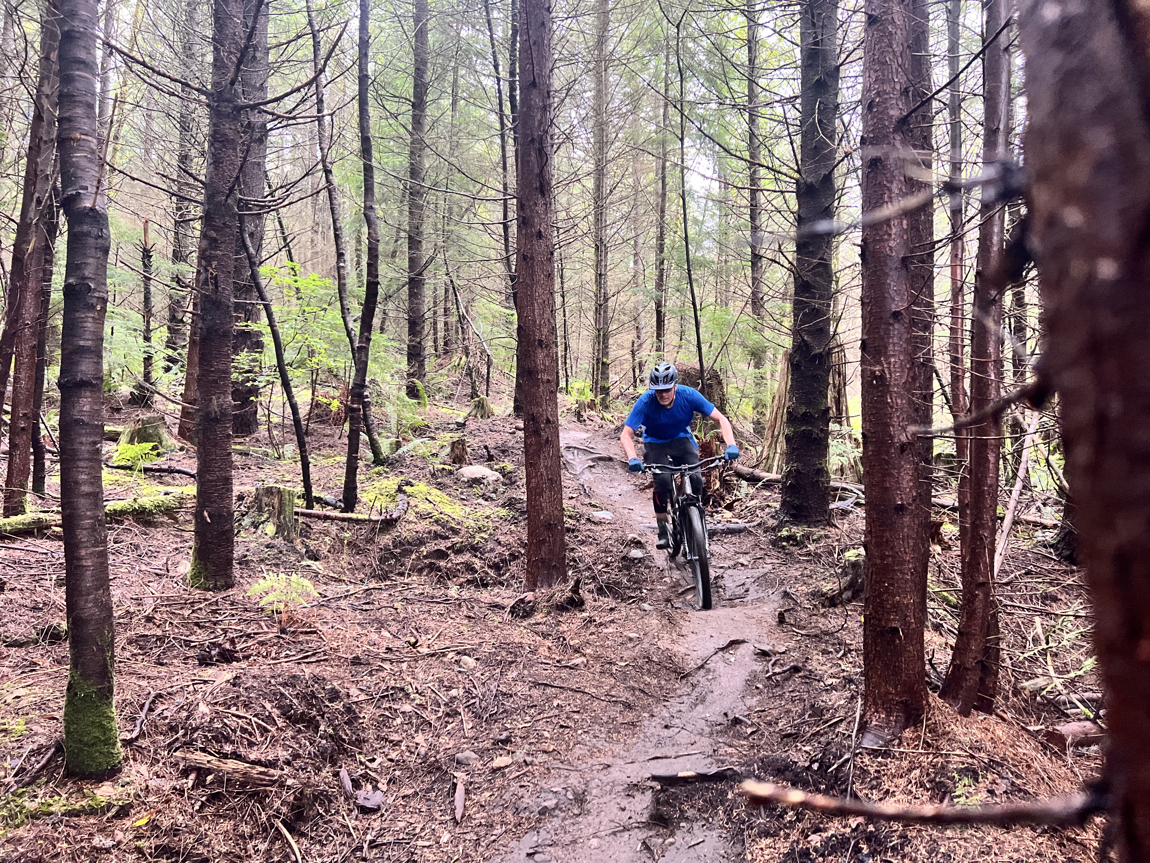 A mountain biker rides along a narrow, muddy trail surrounded by tall trees in a forest. The biker is wearing a blue shirt and helmet, navigating through the dense foliage. Reverence mountain bike trail.