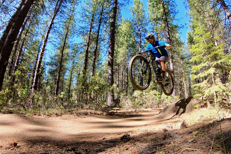 A mountain biker in a blue jersey and helmet performs a jump over a dirt ramp on a forest trail, surrounded by tall trees and a clear blue sky.