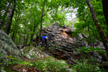 A mountain biker navigating a rocky trail in a lush green forest, surrounded by trees and large boulders. Pinnacle Mountain State Park mountain bike trail.
