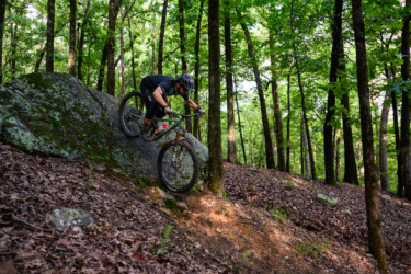 A mountain biker skillfully descending a rocky terrain in a lush forest, surrounded by trees and fallen leaves. The rider is leaning forward, navigating the challenging landscape on a mountain bike. Pinnacle Mountain State Park mountain bike trail.