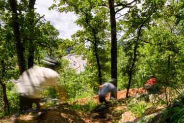 Two mountain bikers racing down a wooded trail, blurred in motion, with a view of a road in the background. The scene is framed by lush green trees and underbrush, creating a dynamic and adventurous atmosphere. River Mountain mountain bike trail.