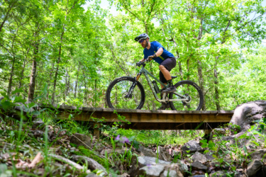 A mountain biker navigating a wooden bridge in a lush, green forest, surrounded by trees and underbrush on a sunny day. Dhu Drop mountain bike trail.