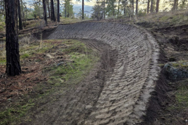 A dirt trail with tire tracks weaving through a forested area, surrounded by tall pine trees under a partly cloudy sky. The trail is freshly formed, showing clear signs of recent use and leading gently around a curve.