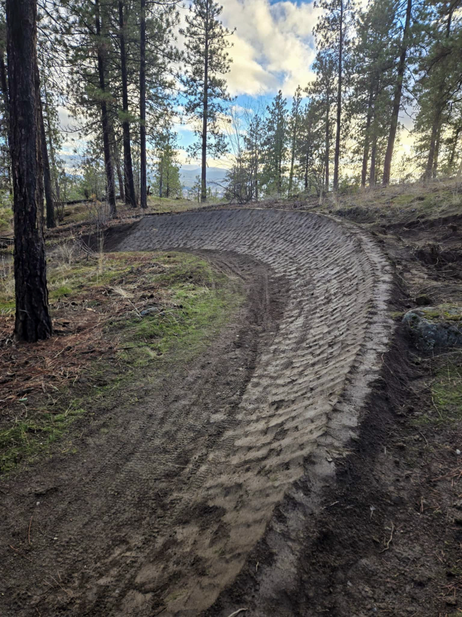 A dirt trail with tire tracks weaving through a forested area, surrounded by tall pine trees under a partly cloudy sky. The trail is freshly formed, showing clear signs of recent use and leading gently around a curve.