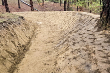 A dirt trail winding through a forest, flanked by tall pine trees. The path has a textured surface with visible tire tracks, indicating use by bikes or vehicles. The surrounding area is covered in brown soil and pine needles, creating a natural, wooded atmosphere. Stalingrab mountain bike trail.
