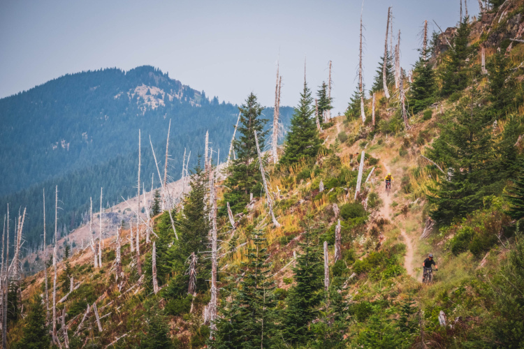 Two mountain bikers navigate a winding dirt trail through a hilly forest landscape. The scene features a backdrop of mountains, with a mix of green trees and dead tree stumps scattered across the hillside, highlighting the rugged terrain and natural beauty of the outdoors.