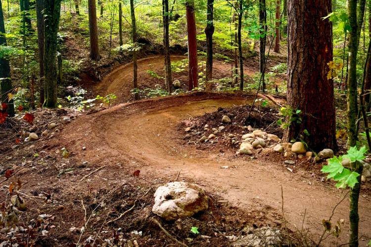 A winding dirt trail surrounded by lush green trees in a forest setting, with small stones and natural debris along the path. The trail curves gently to the right, inviting exploration and outdoor activities.