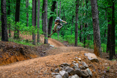 A mountain biker performing an airborne jump on a dirt trail surrounded by tall trees and lush greenery. The scene captures the adrenaline and skill of mountain biking in a natural setting. Pinnacle Mountain State Park mountain bike trail.