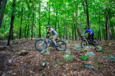 Two mountain bikers ride over rocky terrain in a lush green forest. The scene captures the excitement of outdoor adventure, with trees and foliage providing a vibrant backdrop. One rider, wearing a light gray shirt and a helmet, navigates a rocky path, while the other, dressed in a blue shirt, leans forward as he rides. The ground is covered with pine needles and small rocks, enhancing the rugged nature of the biking experience. Pinnacle Mountain State Park mountain bike trail.