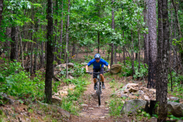 A mountain biker rides along a narrow dirt trail surrounded by lush green trees and rocky terrain in a forested area. The cyclist is wearing a blue shirt and a helmet, focused on navigating the path. Dhu Drop mountain bike trail.
