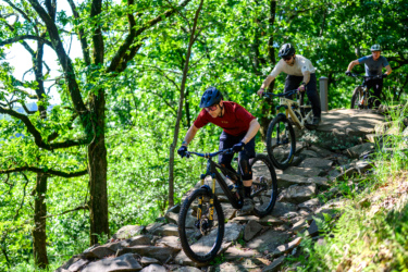 Three mountain bikers navigating a rocky trail in a lush green forest. The riders are focused and in motion, showcasing their skills on the uneven terrain, surrounded by vibrant foliage and trees. Gravity Falls mountain bike trail.