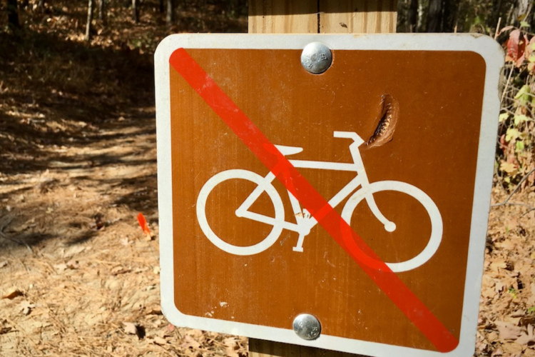 A brown and white sign with a bicycle icon crossed out in red, indicating no biking allowed. A caterpillar is also visible on the sign. In the background, a dirt path is surrounded by pine needles and trees.