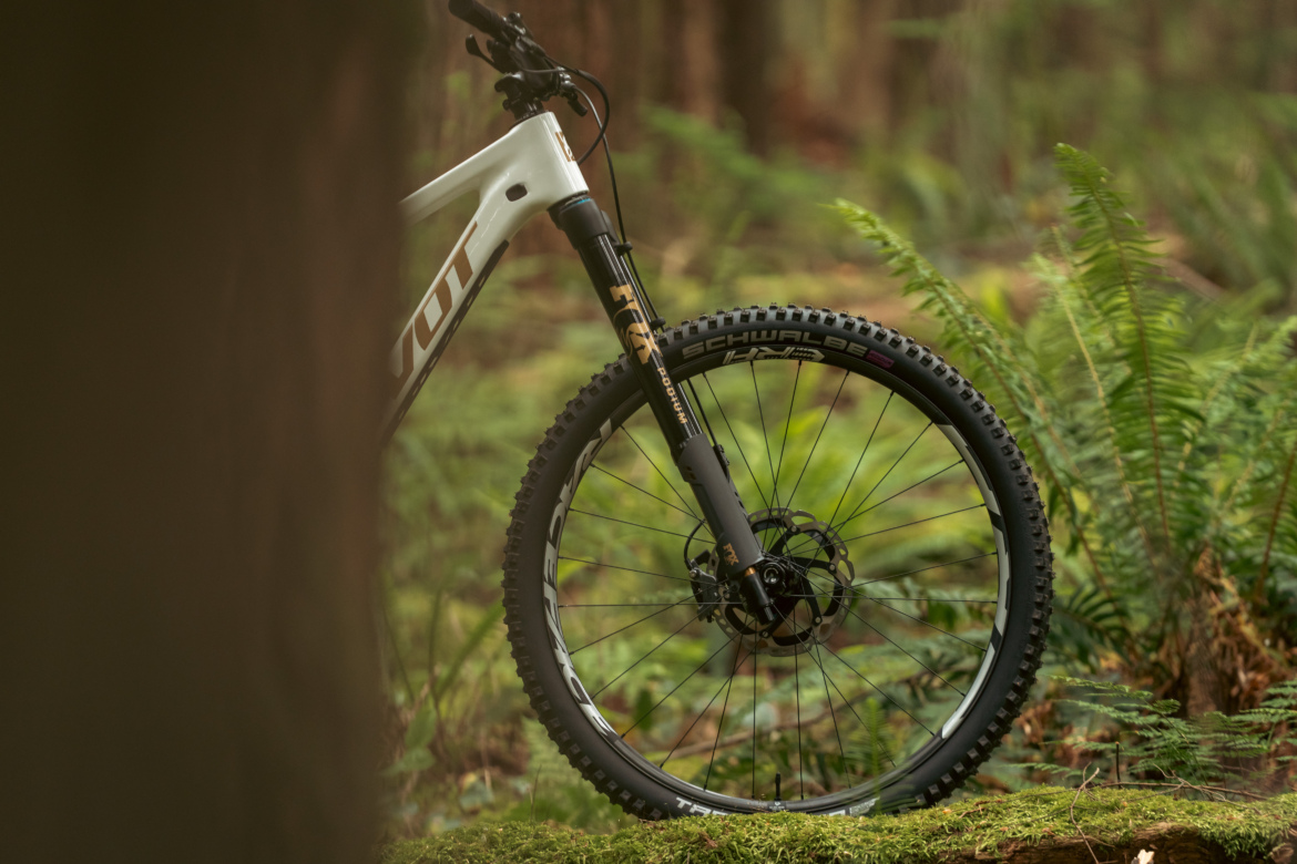 A close-up view of a mountain bike partially obscured by a tree, set in a lush forest. The bike features a white frame, front suspension, and chunky tires marked with "Schwalbe." Surrounding greenery includes ferns and moss, creating a natural and adventurous atmosphere.