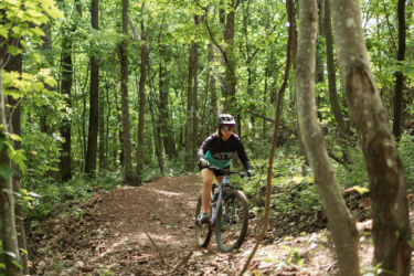 A person riding a mountain bike on a dirt trail through a lush, green forest, surrounded by trees and foliage. Sunlight filters through the leaves, creating a vibrant and lively outdoor scene. Bobcat Trail mountain bike trail.