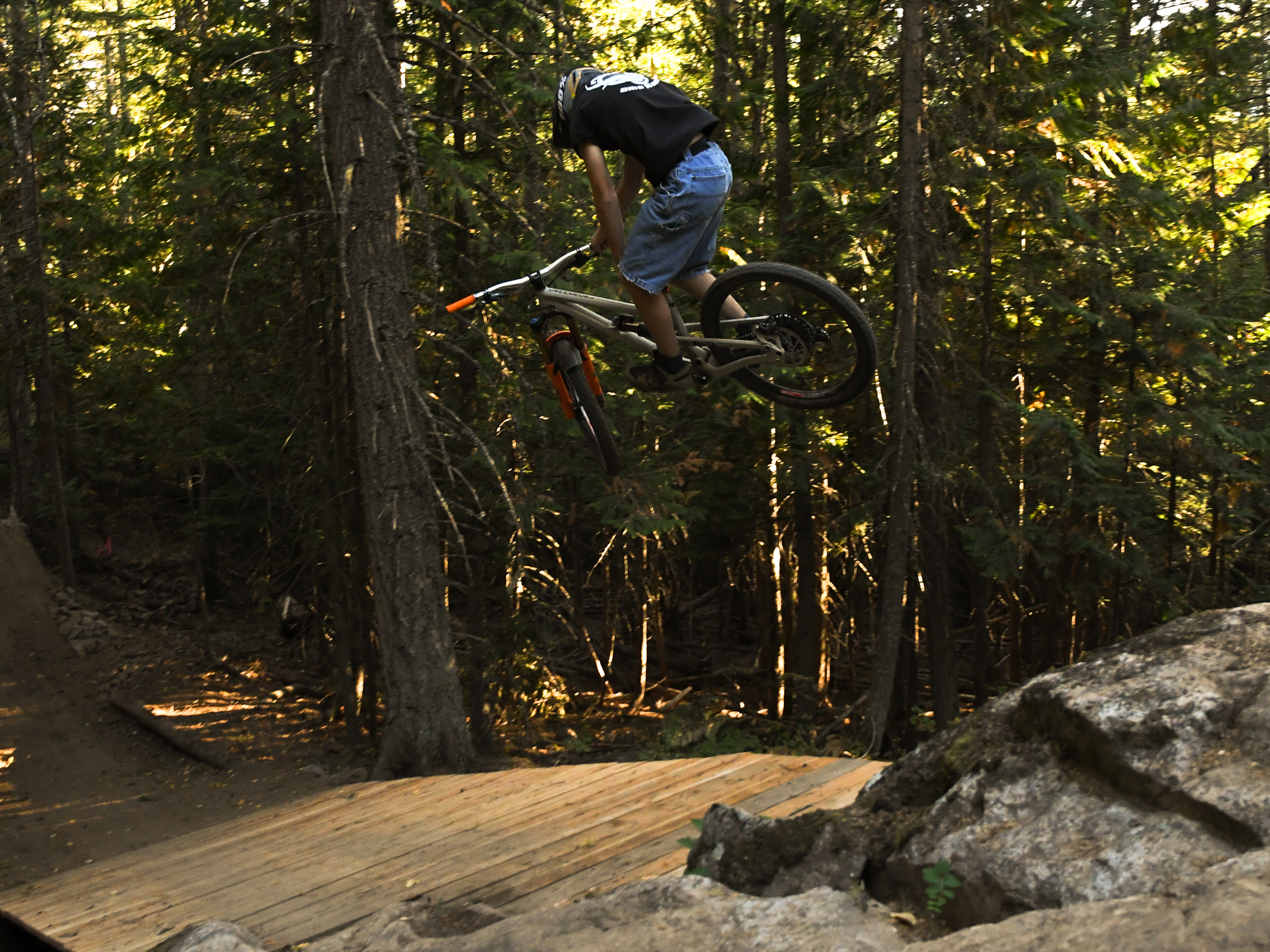 A mountain biker performs a jump off a wooden ramp in a forested area, surrounded by tall trees. The rider, wearing a black t-shirt and denim shorts, is mid-air, showcasing their skill in a dynamic pose. Sunlight filters through the trees, creating a vibrant natural backdrop. Missing Lynx mountain bike trail.