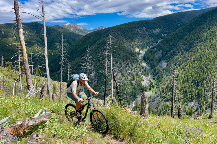 A mountain biker navigates a rugged trail surrounded by a lush, green landscape and distant mountains under a partly cloudy sky. Dead trees line the path, highlighting a natural environment that combines both beauty and challenge.