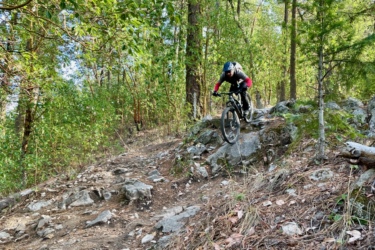 A mountain biker navigates a rocky trail surrounded by greenery in a forested area. The rider is focused and in an athletic stance, demonstrating skill as they maneuver over the boulders and uneven terrain. Bright sunlight filters through the trees, creating an inviting outdoor atmosphere. Mount Ashland Shuttle mountain bike trail.