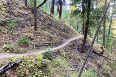 A winding dirt trail through a wooded area, surrounded by tall trees and scattered foliage. The trail features wooden barriers along a sloped incline, with patches of green plants and fallen leaves on the forest floor. Sunlight filters through the trees, creating a serene outdoor atmosphere. Mount Ashland Shuttle mountain bike trail.