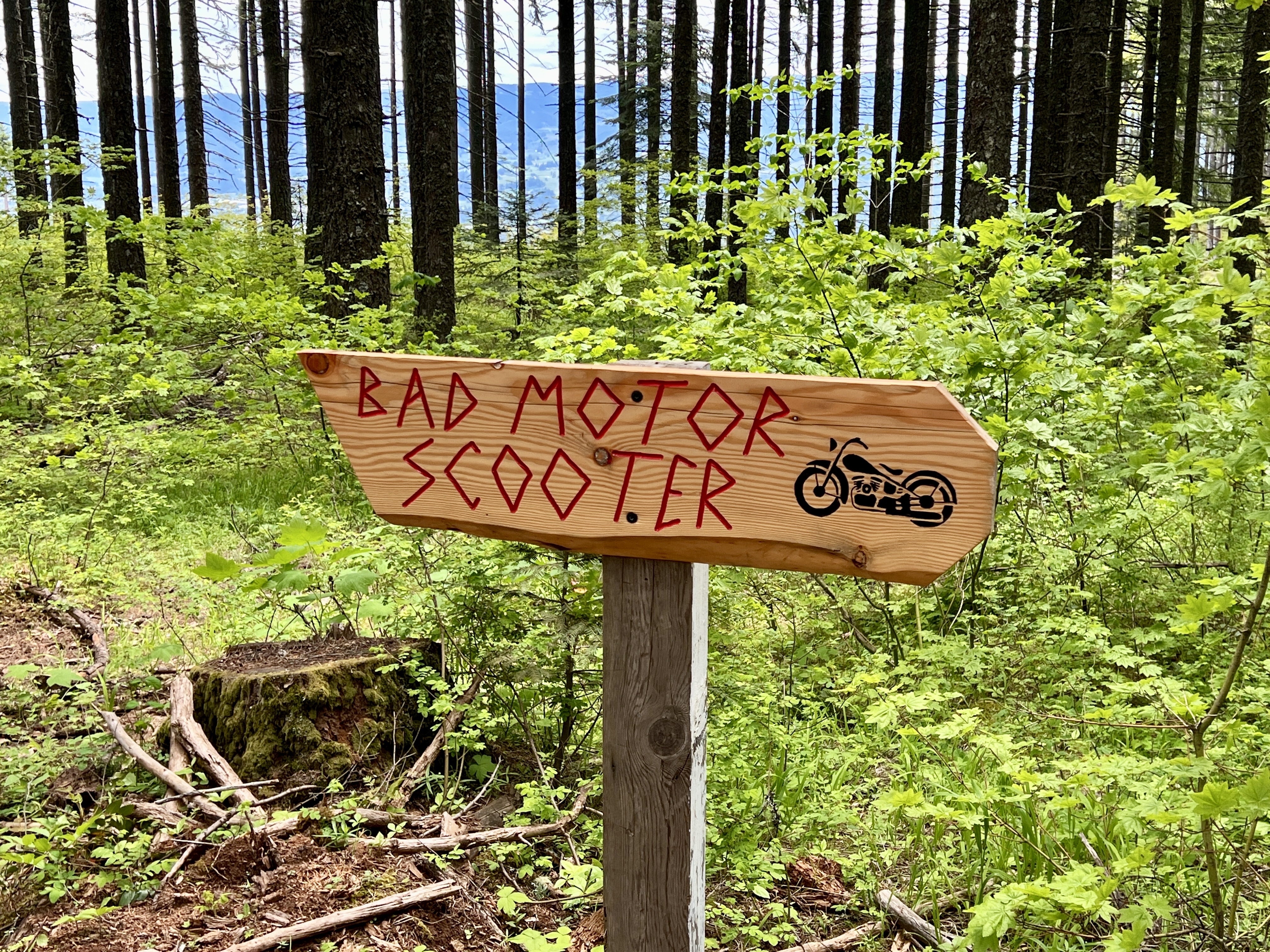 A wooden sign in a forest, with the words "BAD MOTOR SCOOTER" painted in red letters, alongside a graphic of a motorcycle. The sign points into a green, lush area with trees and undergrowth in the background. Bad Motor Scooter mountain bike trail.
