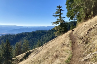 A scenic view of a winding dirt trail along a hillside, surrounded by lush greenery and tall trees, with distant mountains visible under a clear blue sky. The trail is bordered by golden grass, suggesting a dry season, and offers a peaceful atmosphere ideal for hiking and enjoying nature. Alpine Trail mountain bike trail.