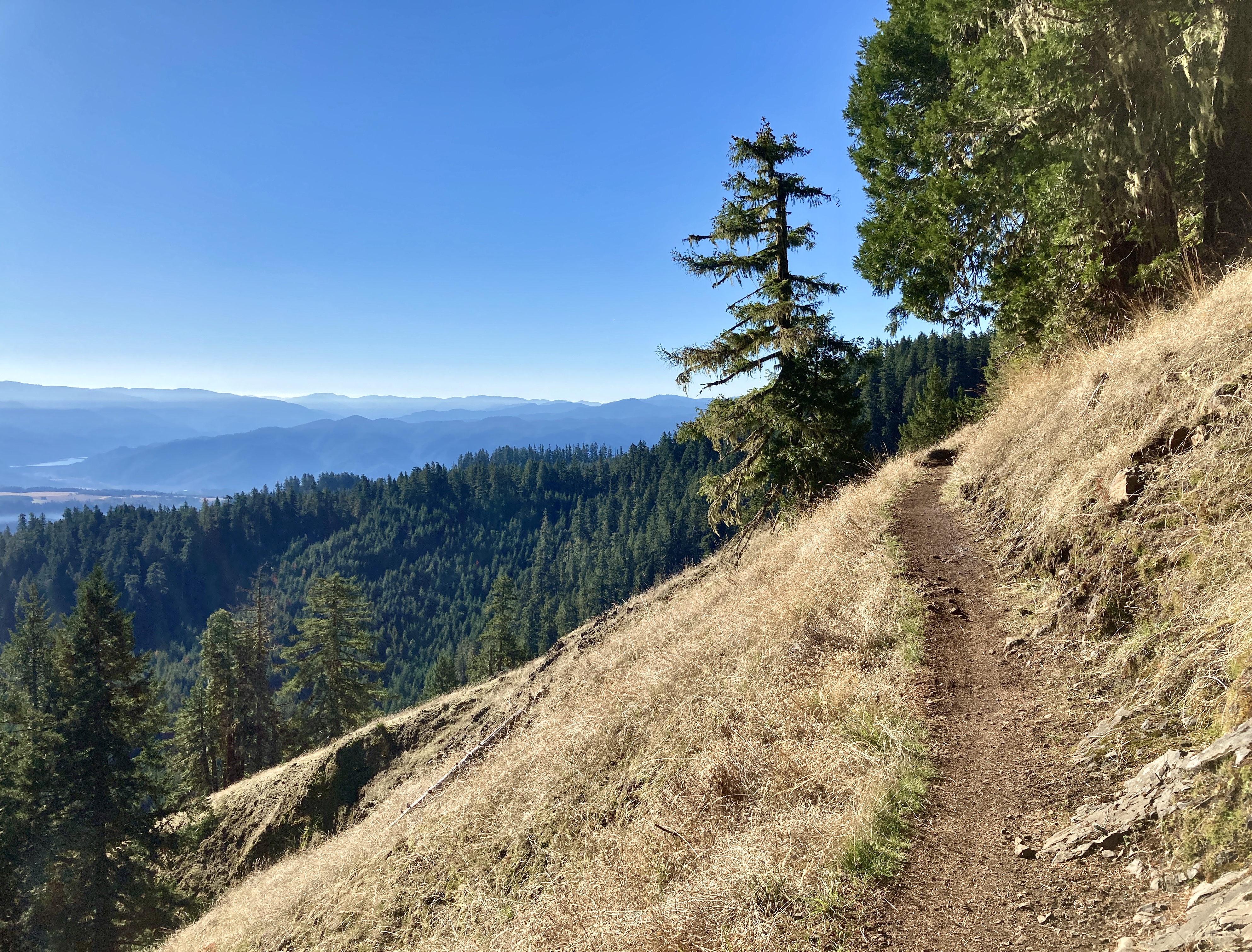 A scenic view of a winding dirt trail along a hillside, surrounded by lush greenery and tall trees, with distant mountains visible under a clear blue sky. The trail is bordered by golden grass, suggesting a dry season, and offers a peaceful atmosphere ideal for hiking and enjoying nature. Alpine Trail mountain bike trail.