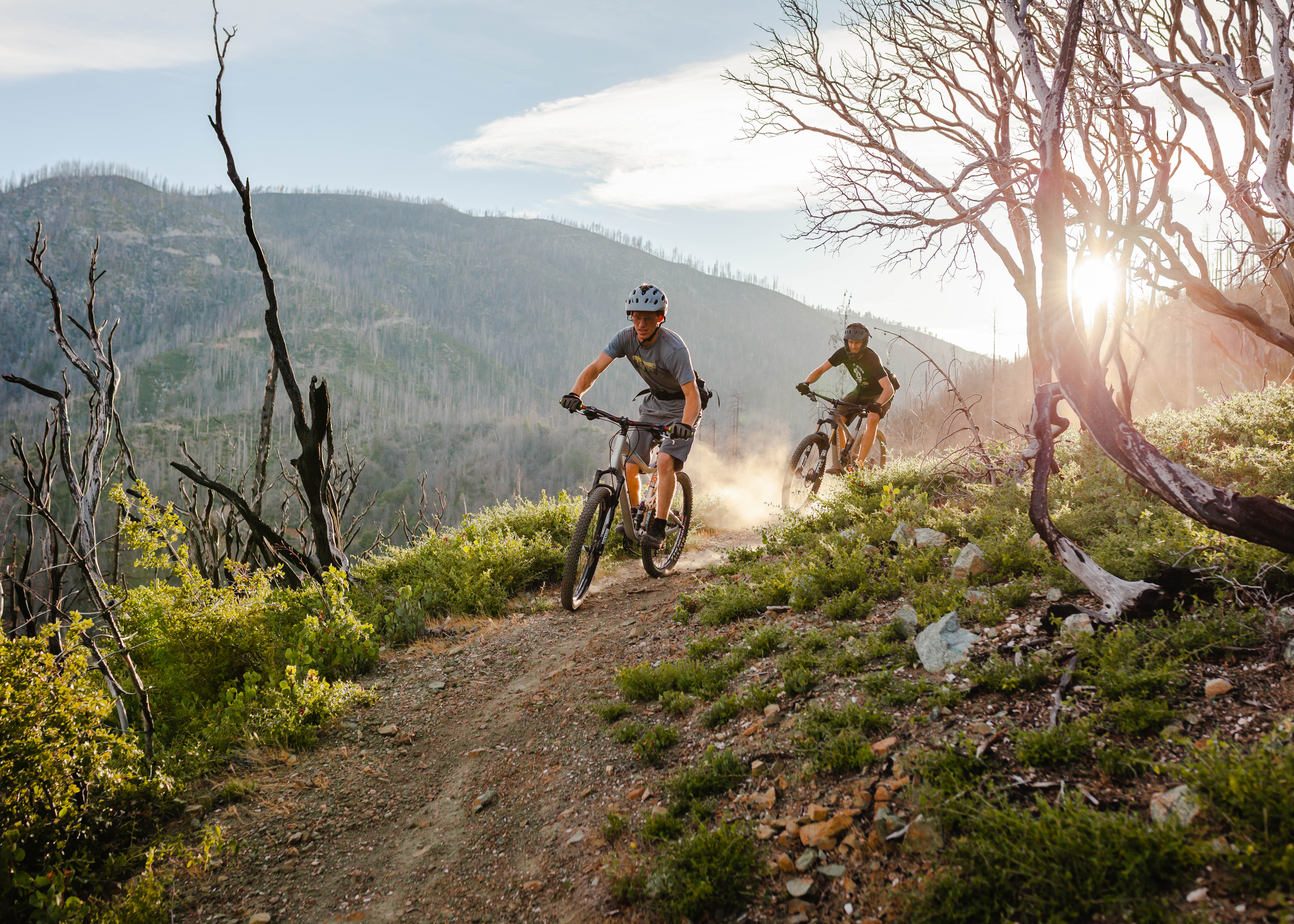 Two mountain bikers riding along a dusty trail through a lush, green landscape, with a backdrop of mountains and trees. The sun is setting, casting a warm glow over the scene, and there are signs of burnt trees in the area. Swasey Recreation Area mountain bike trail.