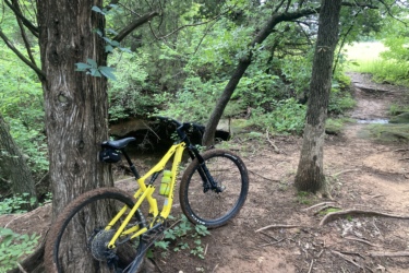 A yellow mountain bike leaning against a tree in a lush green forest setting, with a dirt path and more trees visible in the background. McMurtry Trail mountain bike trail.