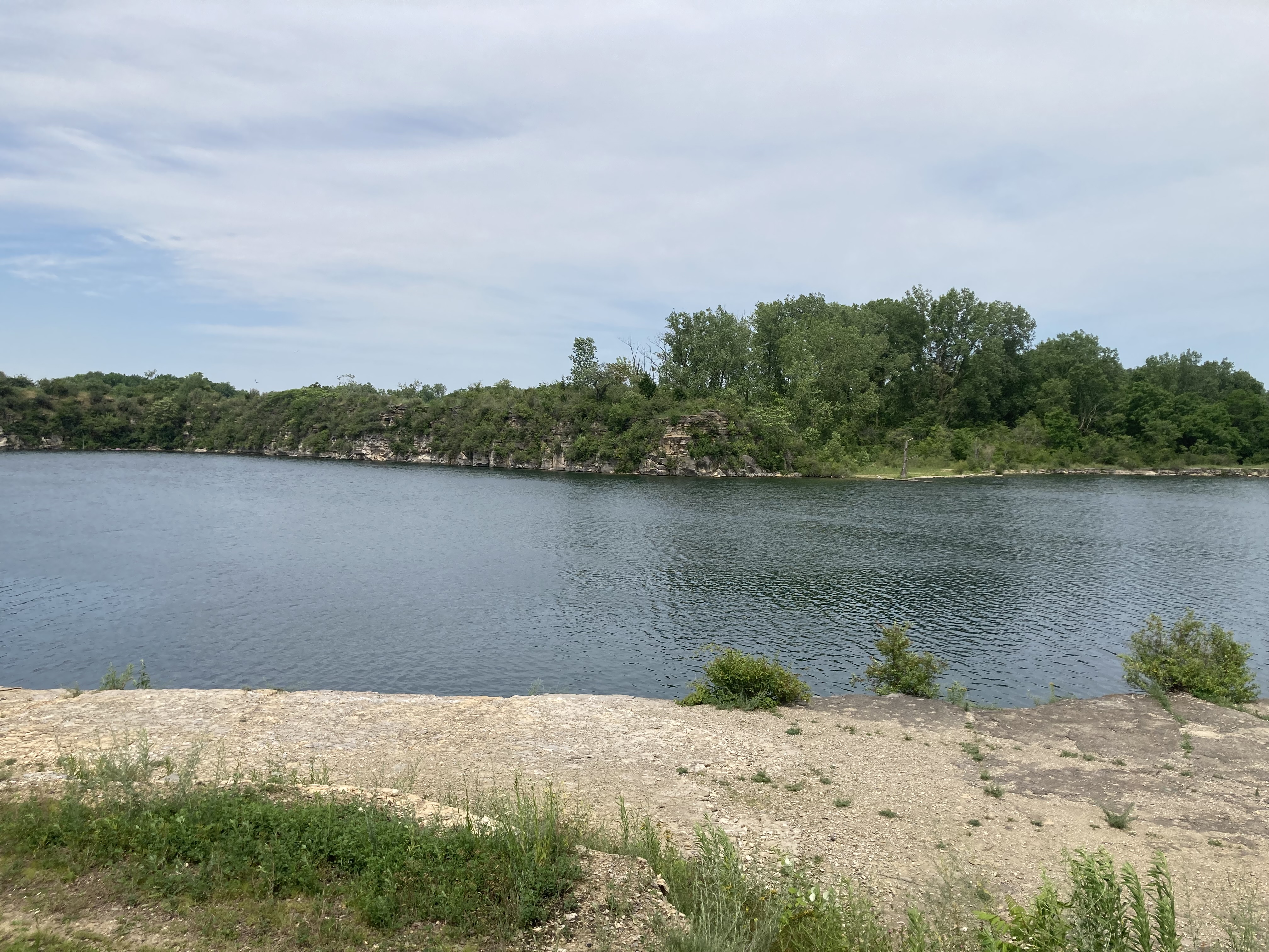 A tranquil lakeside scene featuring calm water surrounded by lush greenery and rocky cliffs under a partly cloudy sky. The foreground includes a rocky shoreline with patches of grass and small plants. Wicked Walt’s mountain bike trail.