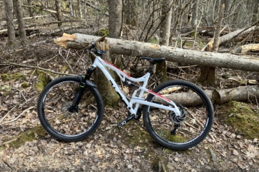 Diamondback Recoil 29: A mountain bike resting against a fallen tree in a forested area, surrounded by leaf-covered ground and scattered branches.