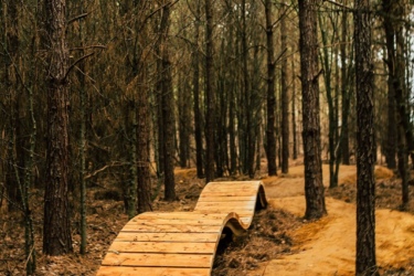 A winding wooden bridge or pathway in a forest, surrounded by tall trees, with a dirt trail visible in the background. The scene depicts a natural setting with earthy tones and a serene atmosphere. Lakewoods Trail System mountain bike trail.