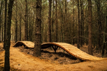A wooden bike ramp weaving through a dense forest of tall pine trees, with a dirt path running alongside it. The ramp features a smooth, curved design and is surrounded by fallen leaves and pine needles on the forest floor. Lakewoods Trail System mountain bike trail.
