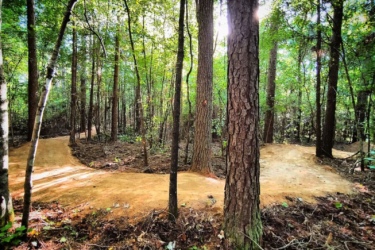 A winding dirt path stretches through a dense forest, surrounded by tall trees with green foliage. Sunlight filters through the leaves, illuminating the trail that curves gently into the distance. The ground is clear of debris, showcasing a well-maintained biking or hiking trail. Lakewoods Trail System mountain bike trail.